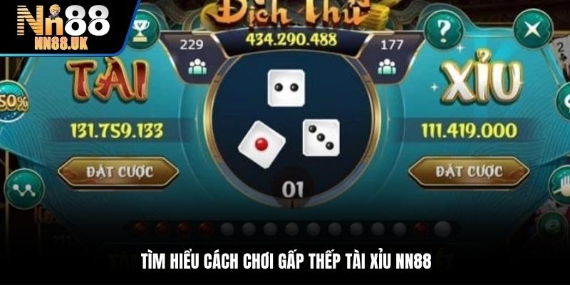 Tìm hiểu cách chơi gấp thếp Tài Xỉu TN88